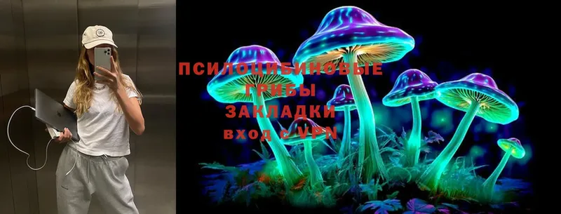 Псилоцибиновые грибы Psilocybe  mega ссылка  Заполярный 